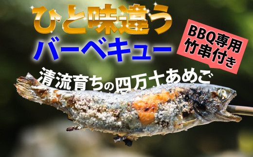 Eay 01 子どもが喜ぶバーベキュー 清流育ちの四万十あめご q専用竹串付き 高知県四万十町 ふるさと納税 ふるさとチョイス