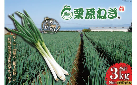 販売期間2025/03/31まで 野菜 好 ねぎ 深谷蜜ねぎ 5キロ 産地直送