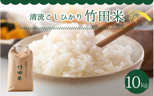 福井県産 清流コシヒカリ 竹田米 10kg 令和3年産米 竹田川の清流に育まれたお米 A 7452 福井県坂井市 ふるさと納税 ふるさとチョイス