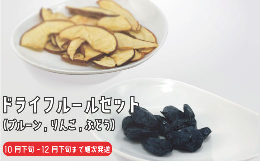 5657 2579 安心安全栄養満点 ドライフルーツ 干しプルーン 干しりんご 干しぶどうのセット 閏間農園 21年発送 10月下旬頃より順次発送予定 長野県須坂市 ふるさと納税 ふるさとチョイス 5657 2579 安心安全栄養満点 ドライフルーツ 干しプルーン 干しりんご 干しぶどうのセット 閏間農園 21年発送 10月下旬頃より順次発送予定 長野県須坂市 ふるさと納税 ふるさとチョイス