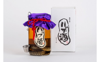 ハブ入りハブ酒 35度 1800ml 沖縄県南城市 ふるさと納税 ふるさとチョイス