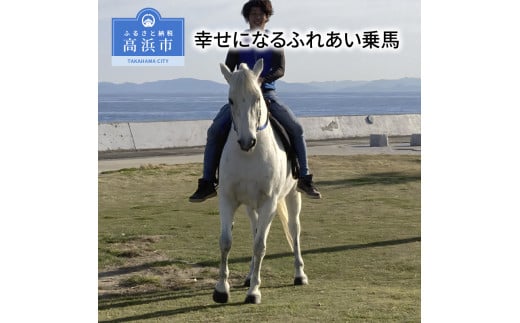 幸せになるふれあい乗馬 愛知県高浜市 ふるさと納税 ふるさとチョイス