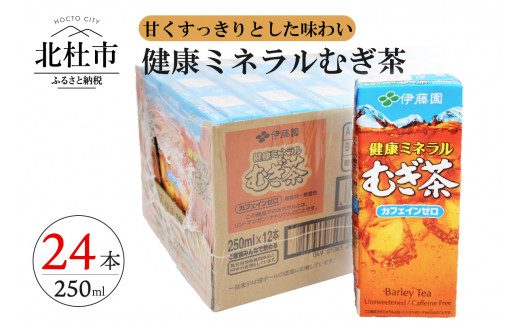 健康ミネラルむぎ茶 250ml 24本 伊藤園 紙パック 山梨県北杜市 ふるさと納税 ふるさとチョイス