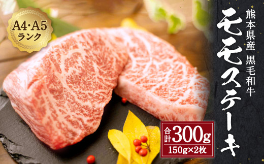 熊本県産 黒毛和牛 和王 モモ ステーキ 300g 150g×2 牛肉 - 熊本県益城