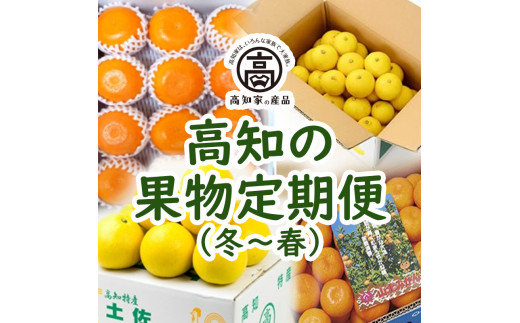 E 高知の果物定期便 冬 春 高知県 ふるさと納税 ふるさとチョイス