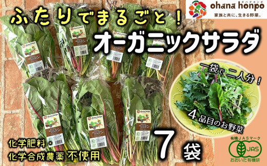 期間限定 洗って切るだけ ふたりでまるごとオーガニックサラダ 7食分 大分県臼杵市 ふるさと納税 ふるさとチョイス