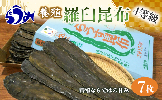 年内発送 養殖４等羅臼昆布7枚セット(350g~500g)北海道 知床 羅臼産