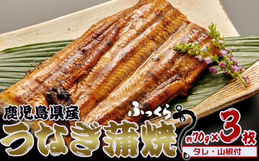 ふるさと納税 鹿児島県 龍郷町 鹿児島県産　うなぎ蒲焼　約70g×9枚 鹿児島県産うなぎ蒲焼 名水慈鰻 特大3尾(1尾190g以上)＜計570g以上