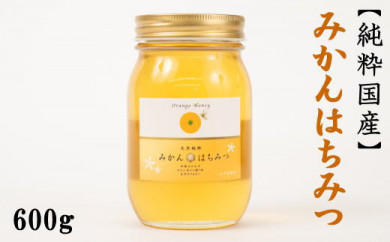 ya̎RCszmYna̎RY݂݂͂600g2026N1{mTM55n