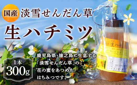鹿児島徳之島 淡雪せんだん草 ハチミツ 300g 1本 蜂蜜 はちみつ 鹿児島県天城町 ふるさと納税 ふるさとチョイス
