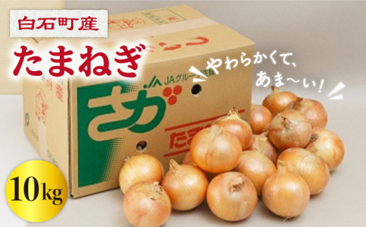 玉ねぎの名産地 甘さ際立つ 白石産たまねぎ 10kg Izz001 佐賀県白石町 ふるさと納税 ふるさとチョイス