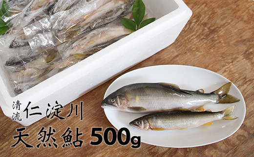 フレッシュマートキシモトさんの天然鮎（冷凍）500g - 高知県いの