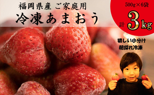 【福岡県篠栗町】MZ028 冷凍あまおう 3kg（500g×6袋）いちご 果物 フルーツ
