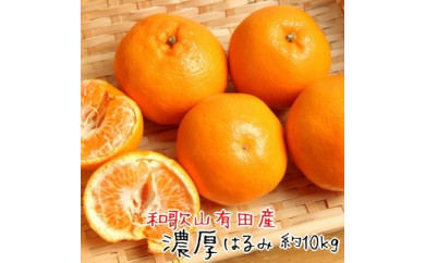 ya̎RLc쒬za̎R Lc Z ͂ 10kgiSMTCYjms\nmMS84wn