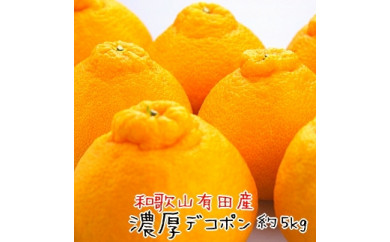 ya̎RLc쒬za̎RLc̔ZfR| 15`24 5kgms\nmMS78wn