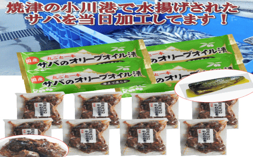 焼津 惣菜 - 食品の人気商品・通販・価格比較 - 価格.com