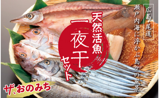 メーカー公式ショップ 広島県尾道市 その他の海産物 広島県尾道市 ザ おのみち 天然活魚一夜干セット ふるさと納税 魚介類 海産物 Www Homerenovationwi Com