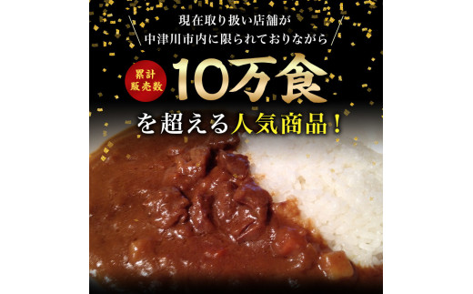 安い売上 【ふるさと納税】伊賀忍者ビーフカレー「鎮印の術」 6個