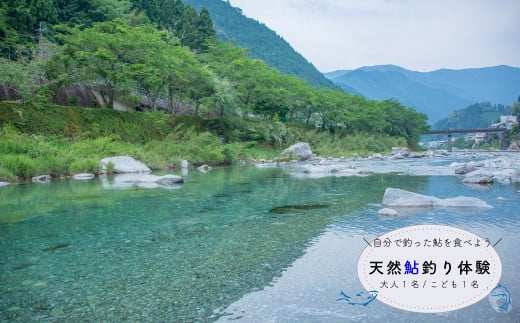 親子で釣り体験】仁淀川で鮎の友釣り（ガイド付／大人・高校生以下各1名） - 高知県佐川町｜ふるさとチョイス - ふるさと納税サイト