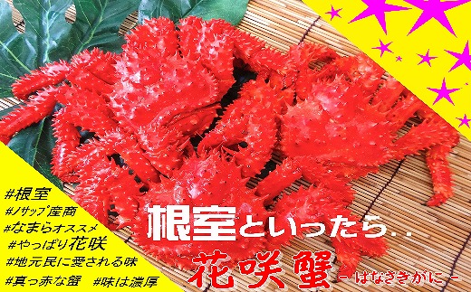 ykCszE-59001y12/21܂ŔNzz ykCYzԍ炪5`6(v4.5kgȏ)