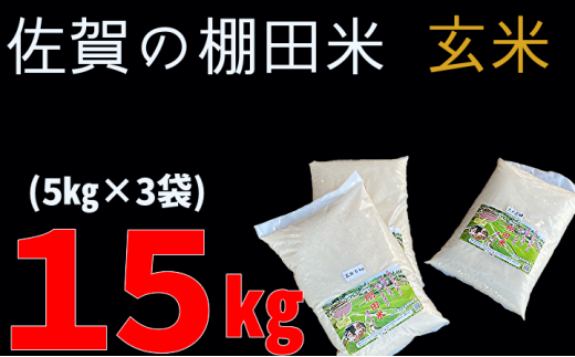 ｂ－２３８ 【 令和5年産 米 】 棚田米 夢しずく 玄米 5kg × 3袋