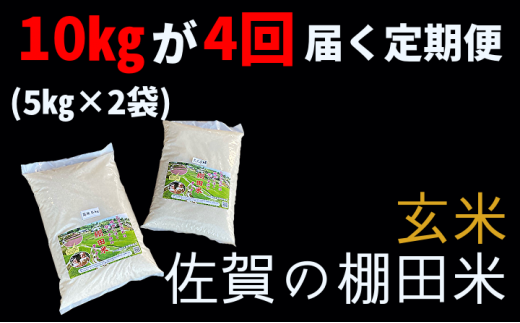 ｐ－６ 棚田米 新米予約 （ 令和５年産 ）定期便 玄米 夢しずく 10kg×4