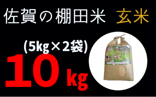 ｂ－２４８ 棚田米 新米予約 （ 令和５年産 ） 夢しずく 玄米 5kg × 2