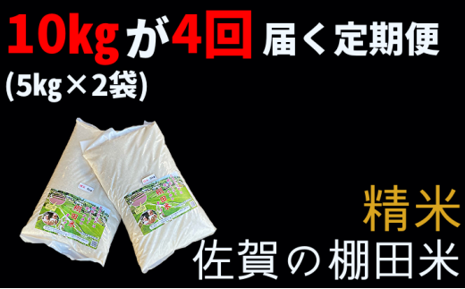 ｐ－５ 棚田米 新米予約 （ 令和５年産 ） 定期便 精米 白米 夢しずく