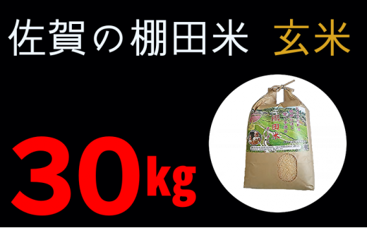 棚田米新米27kg『夢しずく』一等米-