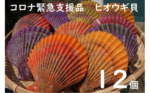 A 124 コロナ緊急支援品 ヒオウギ貝 ホタテの仲間 12個入り 高知県土佐清水市 ふるさと納税 ふるさとチョイス