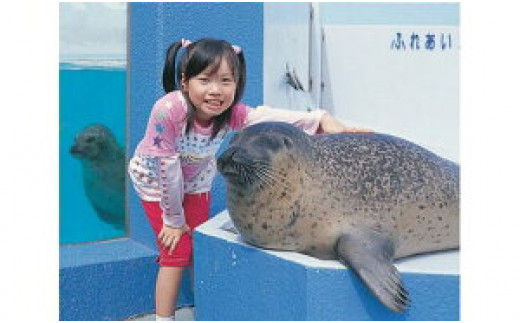No.107 南知多ビーチランド飼育係一日体験 ／ チケット 水族館 動物