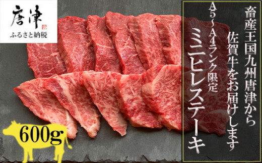 yꌧÎszꋍ̏󏭕ʁwqx̃~jqXe[L600g BBQēɍœKIA5`A4 Mtg  Y