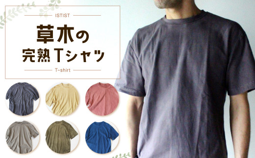 草木の完熟 Tシャツ メンズ Sサイズ 小豆色 1pt 長崎県大村市 ふるさと納税 ふるさとチョイス