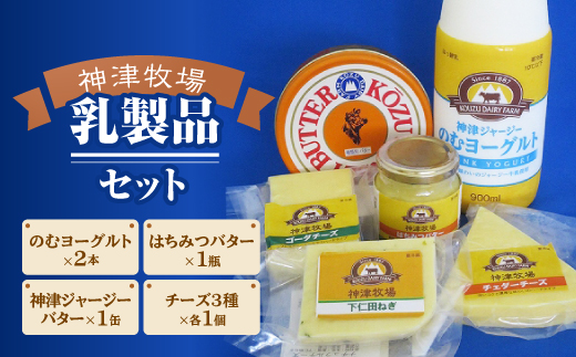 New神津牧場乳製品セット F21k 038 群馬県下仁田町 ふるさと納税 ふるさとチョイス
