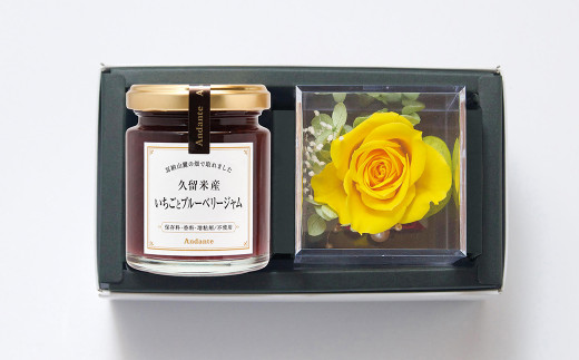 はじめてセット ブルーベリー 苗 2本 植え方 説明書付き 福岡県久留米市 ふるさと納税 ふるさとチョイス