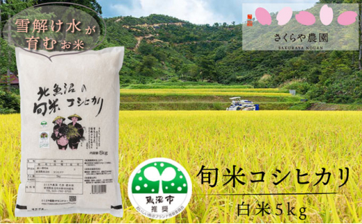 5762 0697 令和3年産 魚沼産コシヒカリ 北魚沼の旬米コシヒカリ 精米5kg 新潟県魚沼市 ふるさと納税 ふるさとチョイス