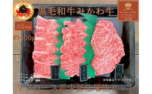 【愛知県豊橋市】黒毛和牛みかわ牛A5等級 リブロース希少部位堪能セット(約450g)