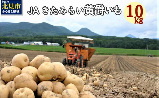 A 369 21年9月中旬より順次発送 北海道 Jaきたみらい 黄爵 とうや いも 10kg 北海道北見市 ふるさと納税 ふるさとチョイス