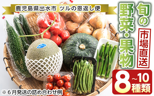 I460 旬の野菜 果物おまかせセット 8 10種類 ツルの恩返し野菜セット 鹿児島県出水市より国産野菜を市場直送 出水市観光特産品協会 鹿児島県出水市 ふるさと納税 ふるさとチョイス