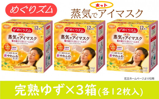 Sa0851 めぐりズム 蒸気でホットアイマスク 無香料 36枚 12枚入 3箱 山形県酒田市 ふるさと納税 ふるさとチョイス