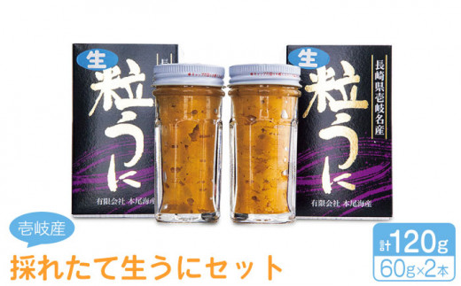 採れたて生うにセット 計120g 《壱岐市》【本尾海産】[JAR003] 20000 20000円 2万円