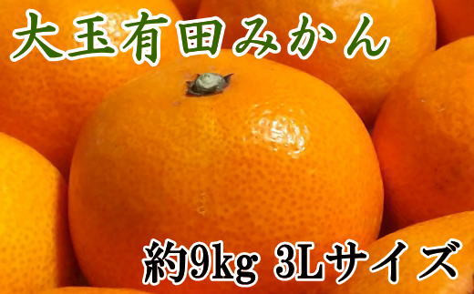 【食べごたえ十分】有田みかん大玉約9kg（3Lサイズ・秀品）※2024年11月中旬～1月中旬頃順次発送（お届け日指定不可）