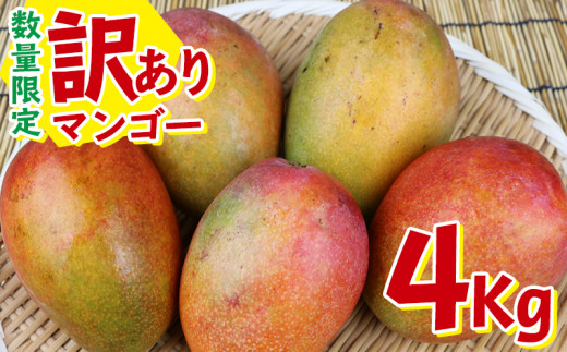 数量限定 訳ありマンゴー 4kg M S Mango Farm 沖縄県名護市 ふるさと納税 ふるさとチョイス