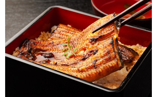 豊橋カネナカ 巨匠の鰻 愛知県豊橋市 ふるさと納税 ふるさとチョイス