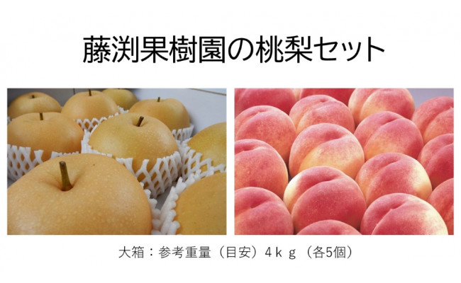 愛媛県　ふるさと納税　稲田ペアファームの豊水梨（ほうすいなし）（2）　内子町　通販