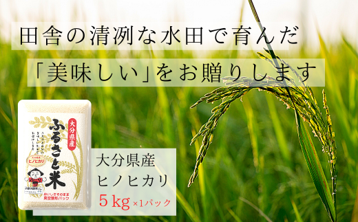 10月順次発送開始】大分県産米 ひのひかり 5kg 令和3年米 安心院米 