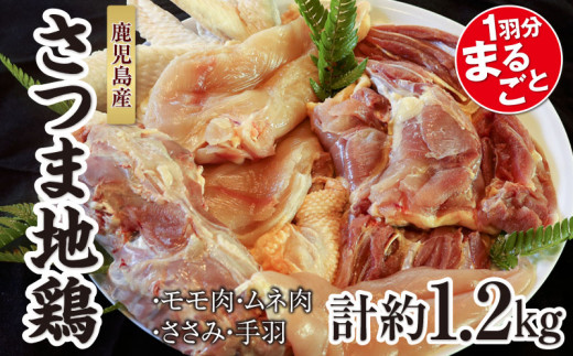 1486 数量限定 さつま地鶏1 2kg 鶏肉1羽まるごと 旨味が凝縮されたヘルシーな地鶏 鹿児島県鹿屋市 ふるさと納税 ふるさとチョイス