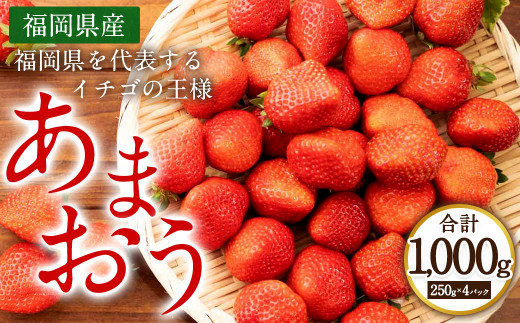 福岡県産 あまおう 1kg (250g×4パック) いちご 国産 大粒