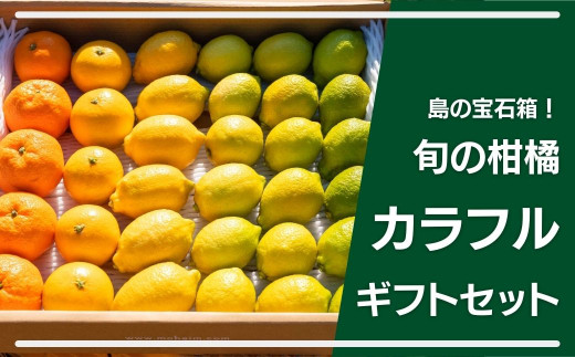 島の宝石箱 大崎上島産 旬の柑橘カラフルギフトセット 広島県大崎上島町 ふるさと納税 ふるさとチョイス