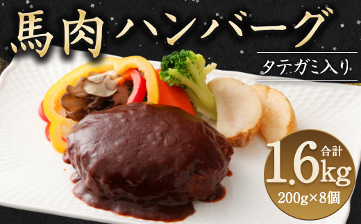 【熊本県八代市】FN タテガミ入り 馬肉 ハンバーグ ( デミソース ) 8個 セット